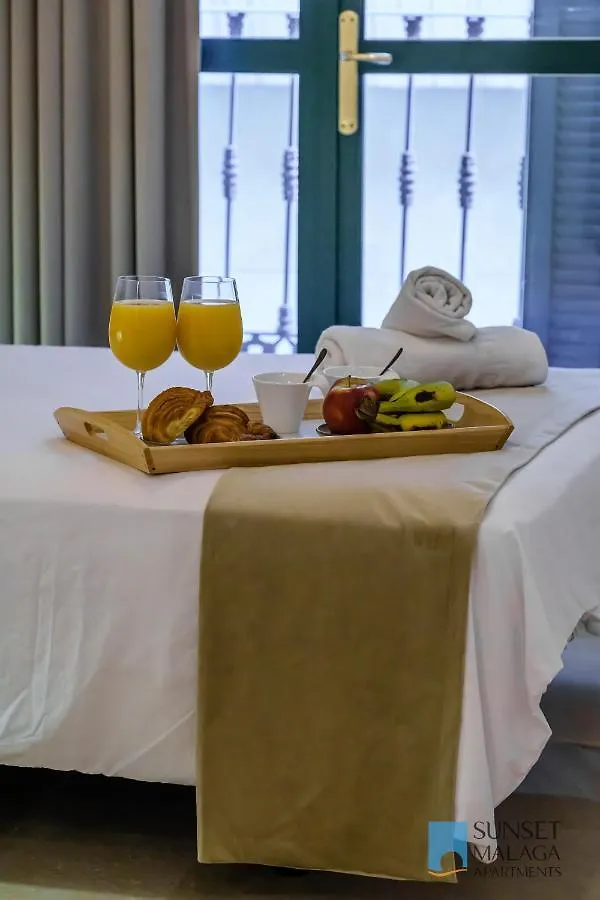 Malaga Central Suites - New Release Appartement